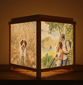Home | Toro Lanterns